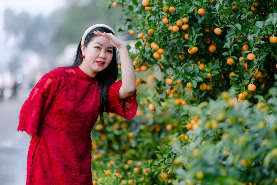 Photo by 🇻🇳🇻🇳Nguyễn Tiến Thịnh 🇻🇳🇻🇳 on Pexels