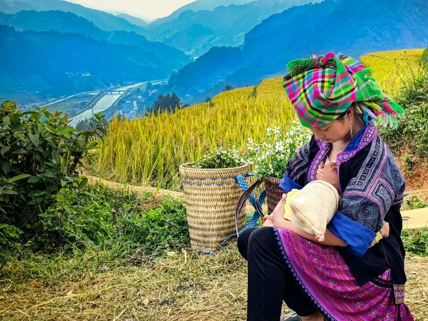 Photo by Vietnam  Hidden Light on Pexels