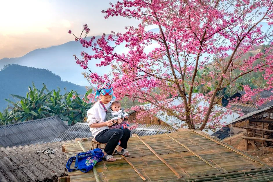 Photo by Quang Nguyen Vinh on Pexels