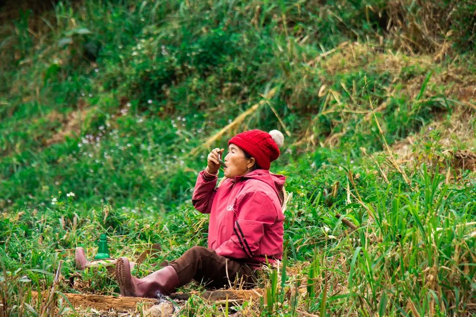 Photo by Oai BC on Pexels