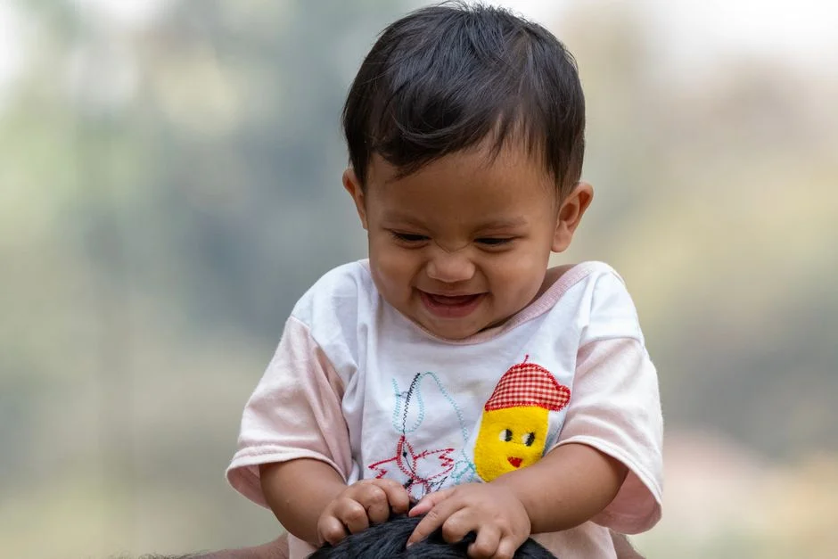 Photo by Md Mamun  Miah on Pexels